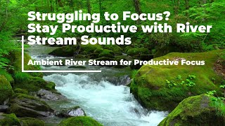 Ambient River Stream for Productive Focus | Ambient Sounds for Studying & Concentration