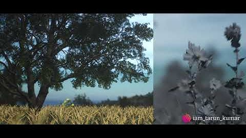 Photorealistic Environment || Project file Included || Unreal Engine 4 & Nuke X ||