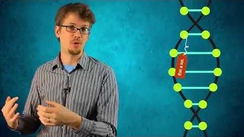 Darwinism Incomplete: Epigenetics