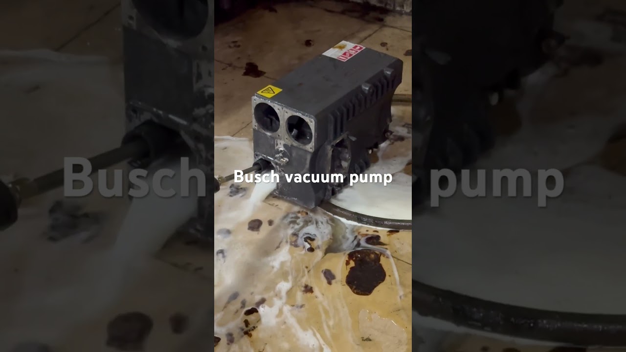 Busch vacuum pump repair