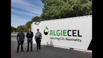 ALGIECEL pilot photobioreactor arriving at the Danish Technological Institute