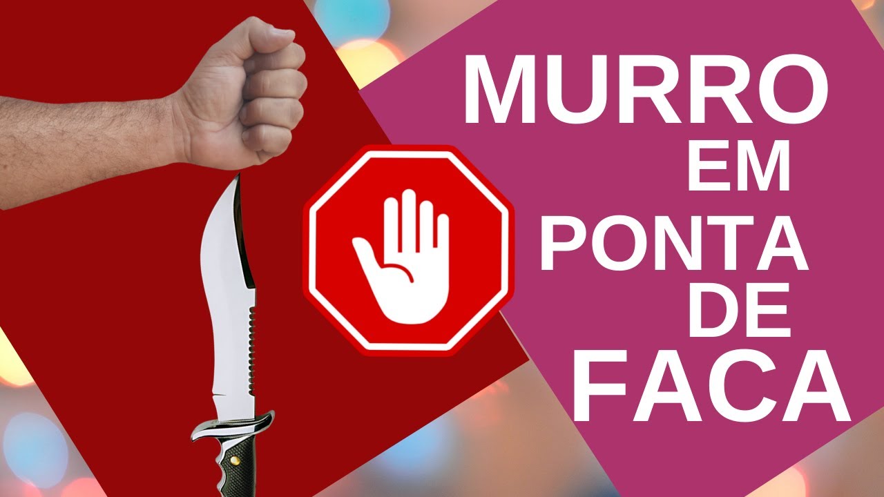 VOCÊ DÁ MURRO EM PONTA DE FACA ? 😺😺🖖 - YouTube