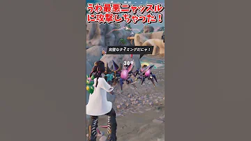 永久保存版 無料NPCの場所紹介 フォートナイト ゆっくり Fortnite ゆっくり実況 フォトナ ショート Shorts 