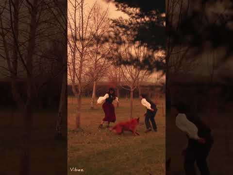 حبيبي النهاردة لازم تعرف حبك عاملي جنان أنا بحبك تامر حسني مايحرمنيشمنك