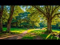 Beautiful Relaxing Music - Stop Overthinking, Stress Relief Music, Sleep Music, Calming Music #40