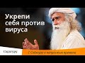 Как укрепить себя, чтобы противостоять коронавирусу?