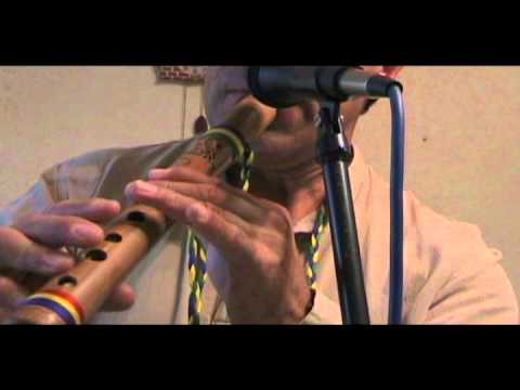 Putar LA COMPAÑERA - Pepe Romero