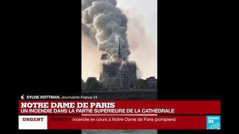 IN PICTURES - Terrible fire in Notre-Dame Cathedral in Paris