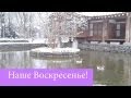 Vlog / Влог: Наше Воскресенье!