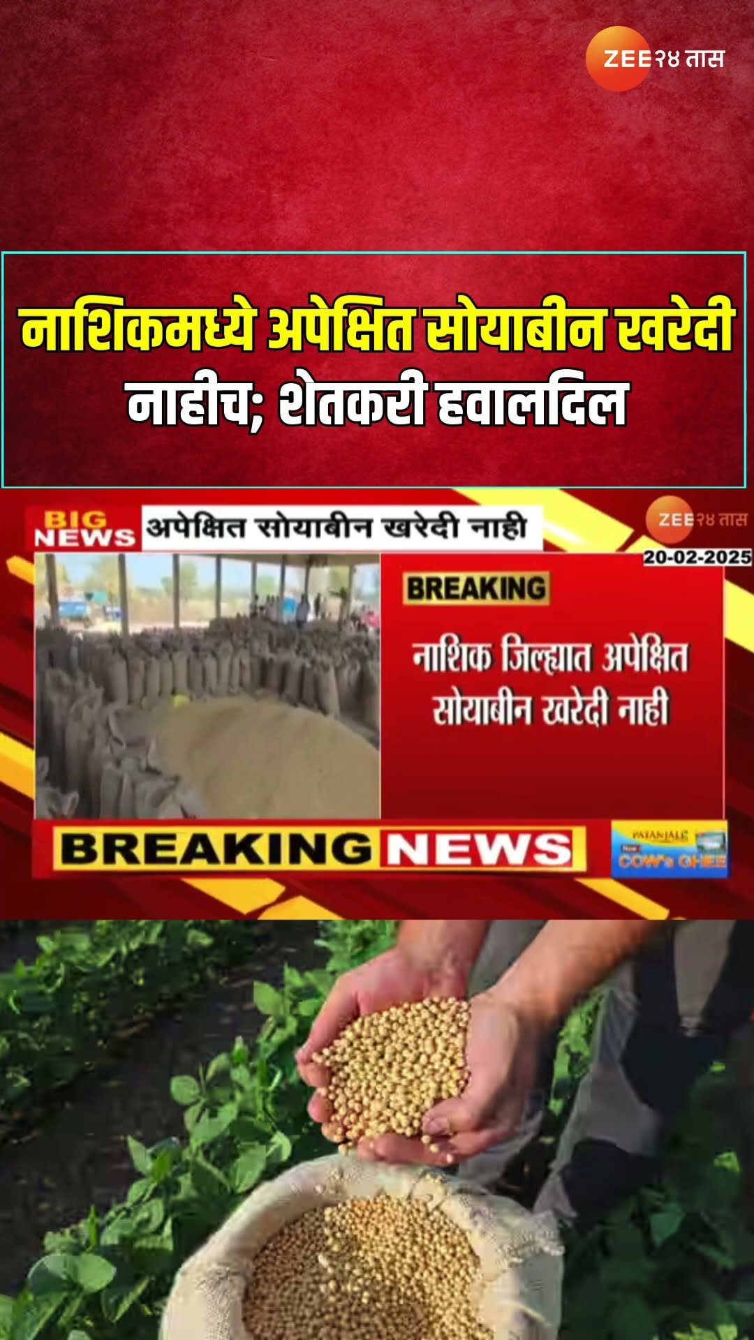 Nashik Soybean Purchase | नाशिकमध्ये अपेक्षित सोयाबीन खरेदी नाहीच; सोयाबीन उत्पादक शेतकरी हवालदिल