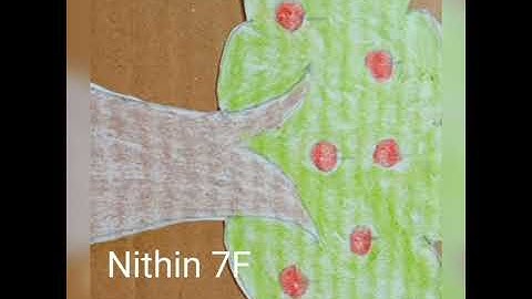 Activity on trees by Grade 7 Students