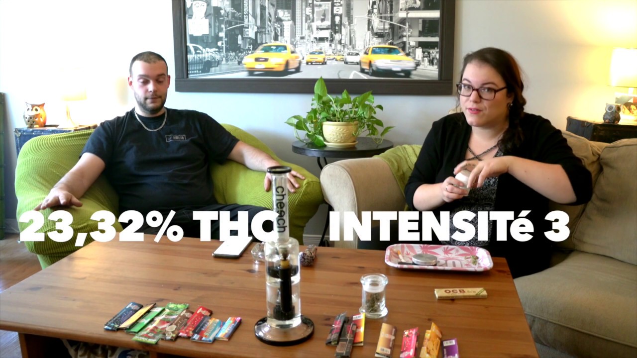 SQDC Review Épisode 5: Pink Kush