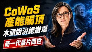 【半導體風暴】台積電CoWoS觸頂!2026年美股半導體最慘烈的散戶幻覺,是撤退还是继续持有?