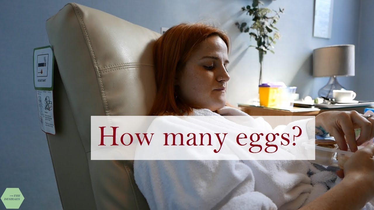 Egg Collection Ivf Cycle 1 Same Sex Couple Youtube