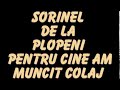 SORINEL DE LA PLOPENI    PENTRU CINE AM MUNCIT