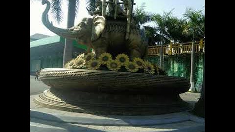 Du xuân Suối Tiên ngày 8 tháng 2 năm 2019