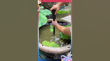 đài phun nước mini kèm bơm tạo cảnh tiểu cảnh sân cường 3 chế độ vòi phun #cakoi #phongthuy #nuoica