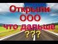 Чего остерегаться, Какие документы готовить и что делать дальше после открытия ООО