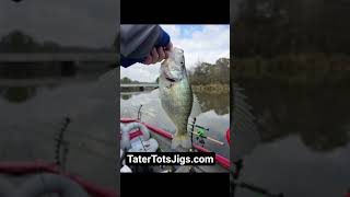 duggie all day ! #fish #crappiejigs #fish #crappiefishing #fypage #crappie #crappiejigs #shopping
