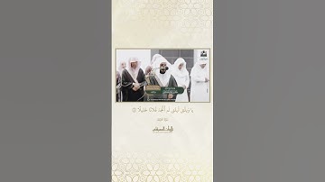 تلاوة ندية من سورة الفرقان للشيخ ماهر المعيقلي 🌹