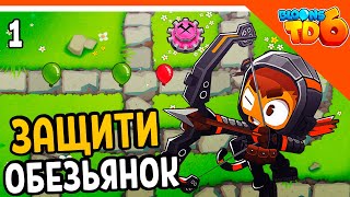 :       6  Bloons TD 6 