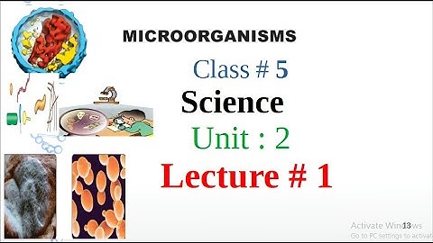 Science Class 5|Unit 2| Lecture 1|Microorganisms Classification |EduPublic