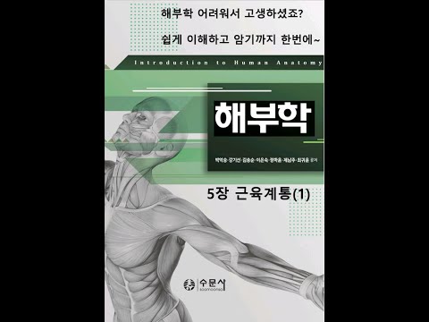 해부학5장 근육계통(1) 20200720