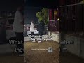 My boy was charged up⚡️ #cops #bodycam #copsoftiktok #police #policeofficer #truecrime #lawandcrime