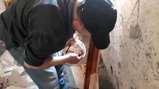 كيفية طلاء الباب الخشب بالفرنىبطريقة سهلة