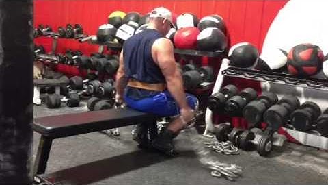 elitefts.com — Seated Side Raise Chains Waves