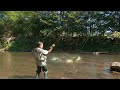 Pecanje potočne pastrmke na rekama na planini Goliji kod Ivanjice | Fishing brown trout