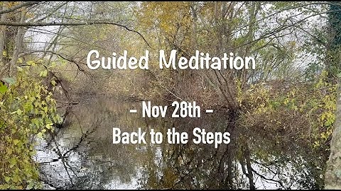 Nov 28th: Back to the Steps - Daily Meditations: the Language of Letting Go | Melody Beattie