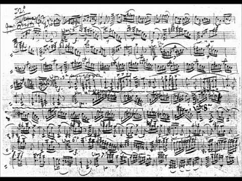 Niccolo Paganini - Caprice no.24 arr. for flute solo - YouTube