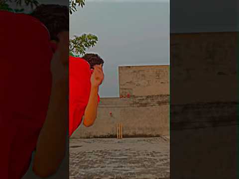 leg spin bowling