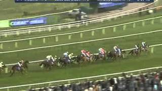 2012 Neptune Investment Management Novices Hurdle