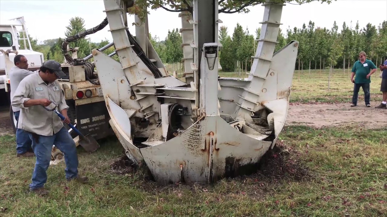 Watch a 100-inch tree spade in action - YouTube