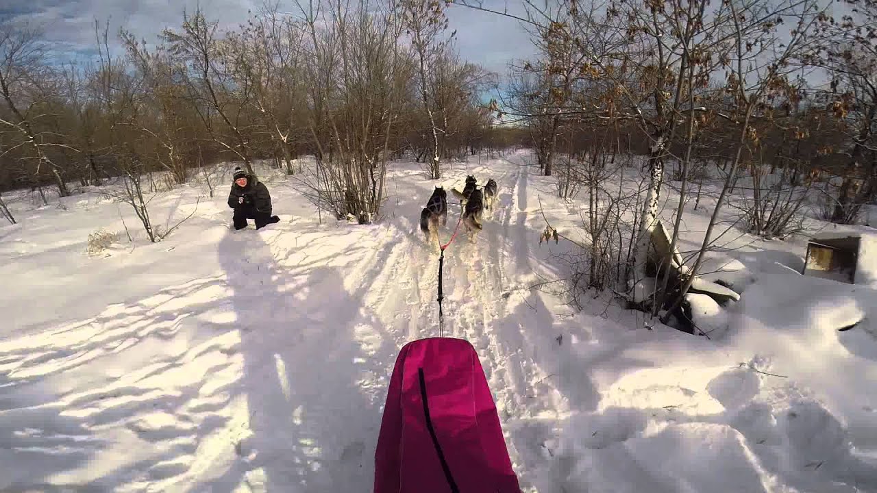 ������ Gonadorelin ���� �����: ����.