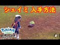 シェイミ 出現場所 入手方法 攻略 Pokémon LEGENDS アルセウス ポケモン レジェンズ アルセウス シェイミ 出現場所 入手方法 攻略 Pokémon LEGENDS アルセウス ポケモン レジェンズ アルセウス
