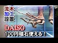 【流木切断】と【100円強力磁石】オヤニラミ水槽立ち上げ#4