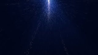 Real Particles Flow Blue | Motion Graphics - Videohive template
