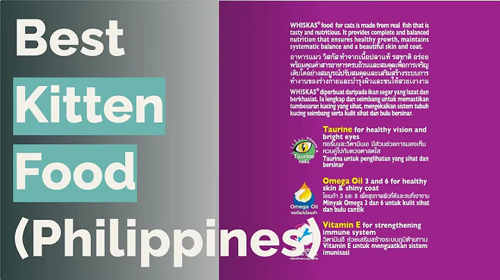 Video 7490361: royal canin maine coon, maine coon kitten, best kitten food