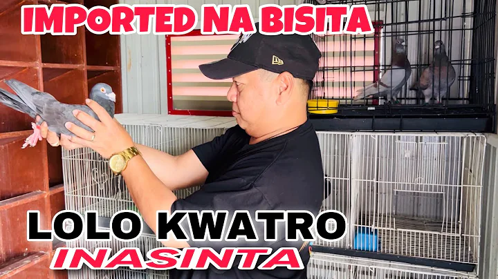 EP214 -MATINDE KUMILATIS TAGA AMERICA / ROAD TRIP ...