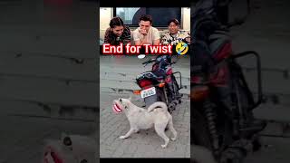 #funny #hilariousfails #golfnetwork #memes #crash #golf #rally #gaming #comedy #onthisday