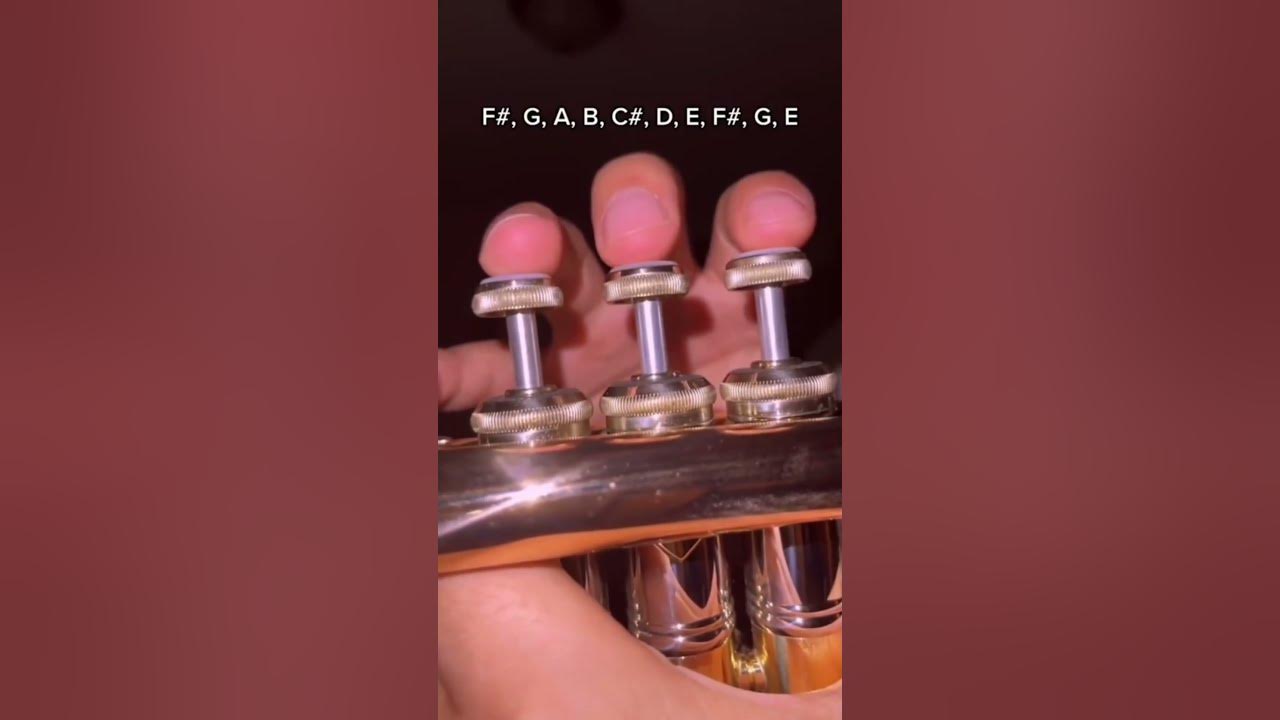 El Jarabe Tapatio - (Mexican Hat Dance) - Trumpet