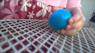 Easter Egg Hunt!