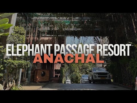 Elephant Passage Resort Munnar, Anachal. A quick walk around | Resorts in munnar | malayalam vlog
