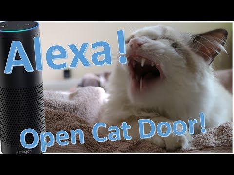 can-amazon-echo-let-the-cat-out?-(diy-alexa-enabled-pet-door-version-2)