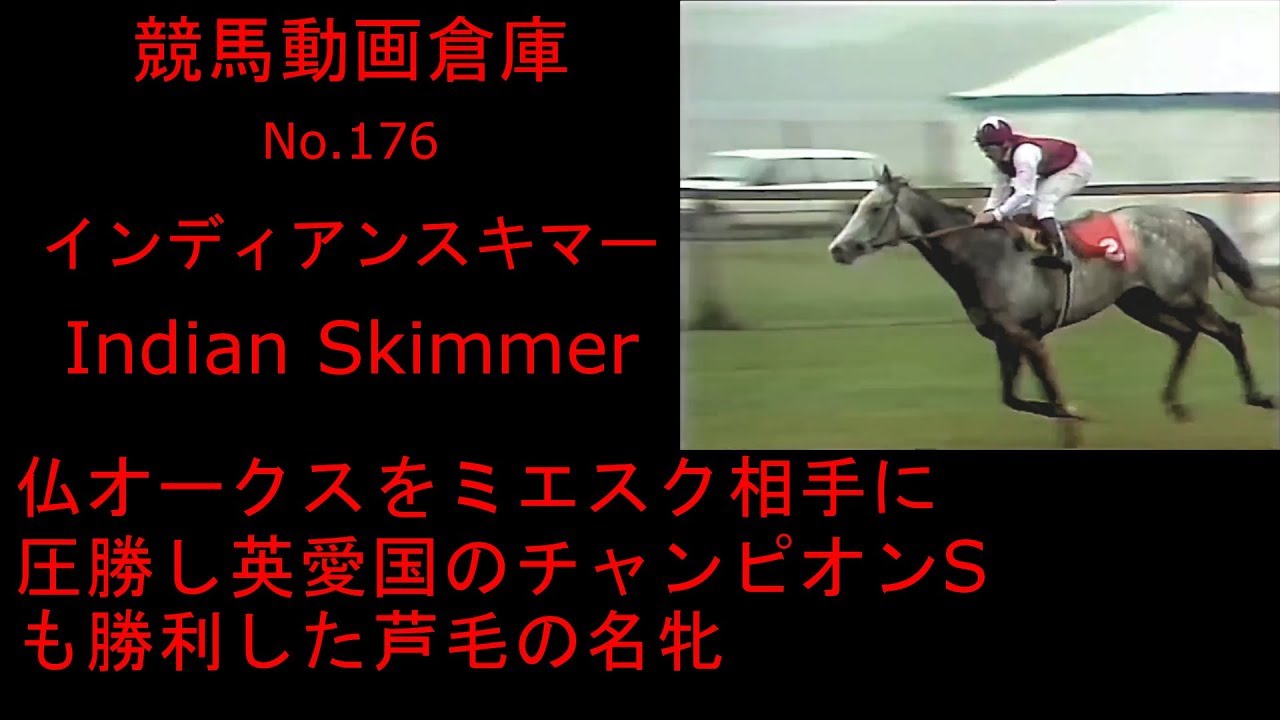 競馬 インディアンスキマー Indian Skimmer No 176 Youtube 競馬 インディアンスキマー Indian Skimmer No 176 Youtube