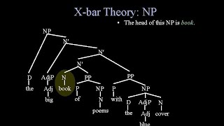 Syntax: X- Bar Theory:  Lecture 2:  Adjuncts and Complements