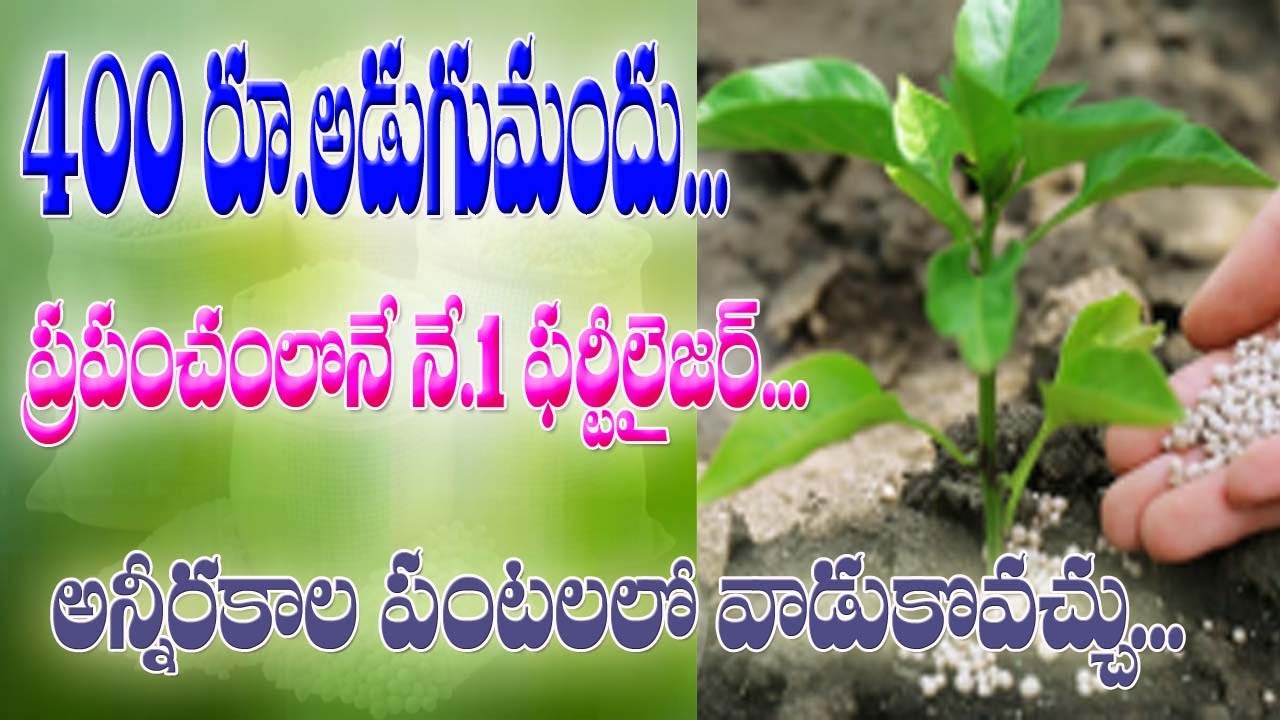 #slurry 400 రూపాయల్లో అడుగు మందు| ప్రపంచంలో శక్తివంతమైన ఎరువు #fertilizers #ఎరువు #agriculture